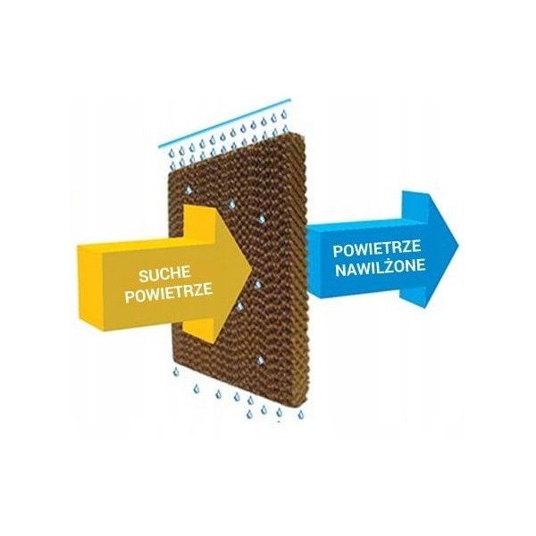 Кліматичний комплекс Honeywell TC10PCEI з іонізатором