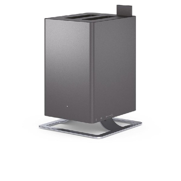 Stadler Form Anton Titanium