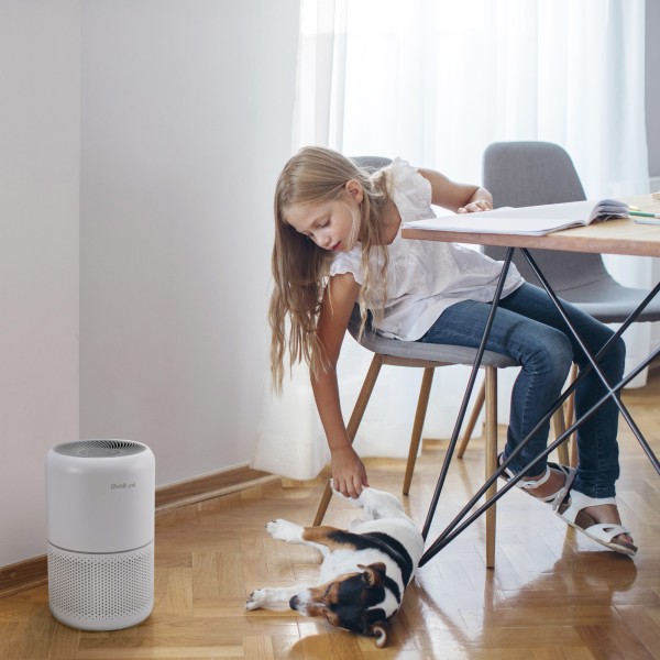 Очищувач повітря Levoit Air Purifier Core P350 Pet Care White (HEAPAPLVNEU0035)