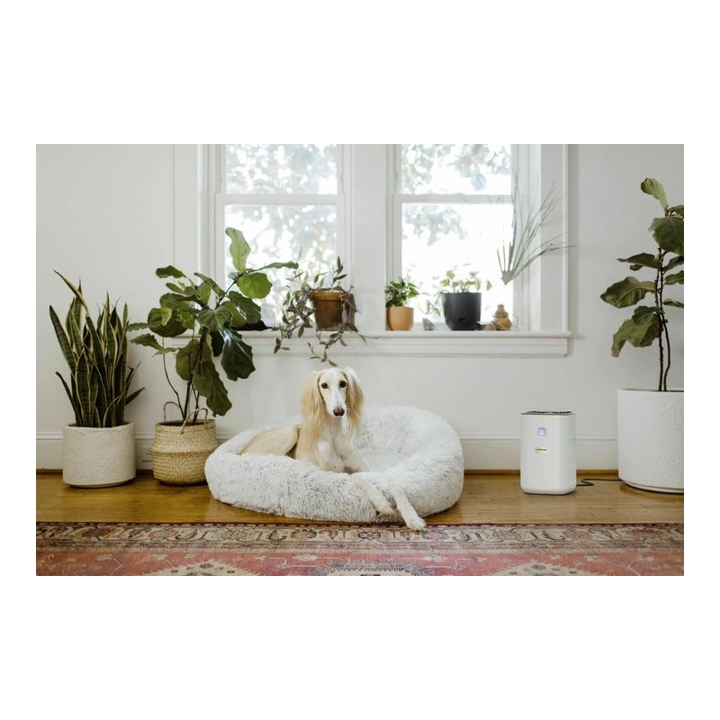 Karcher AF 20 1.024-820.0