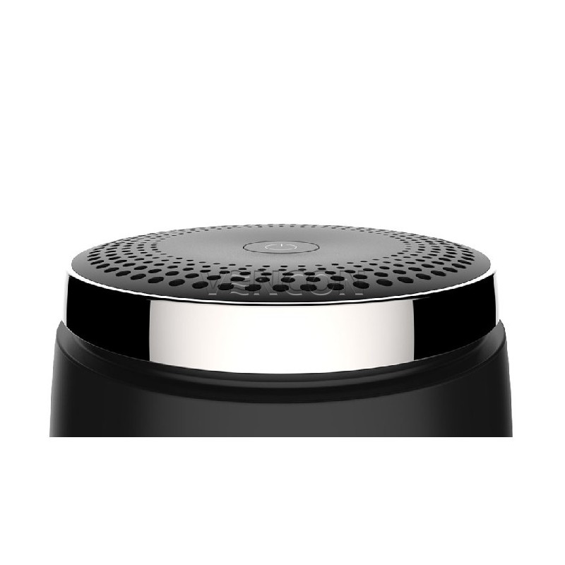 Xiaomi RoidMi Car Air