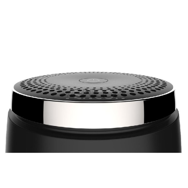 Xiaomi RoidMi Car Air