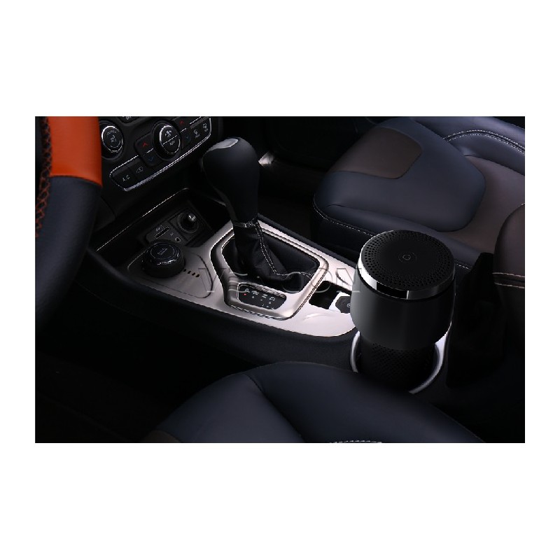 Xiaomi RoidMi Car Air