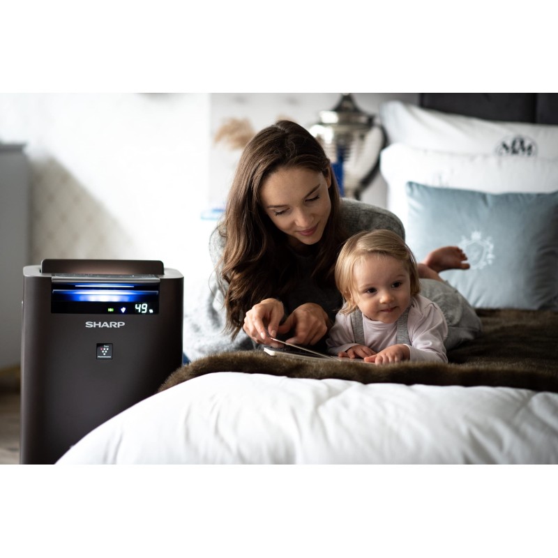 Очищувач повітря Sharp UA-HG40E-T